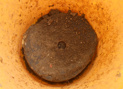 pic15