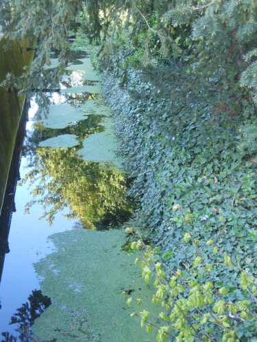 DELF RIVER HR