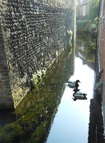 DUCKS & DELF HR